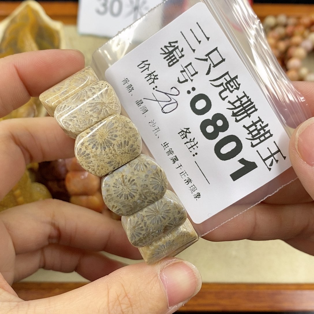 硅化珊瑚（珊瑚玉）1未镶嵌没****水