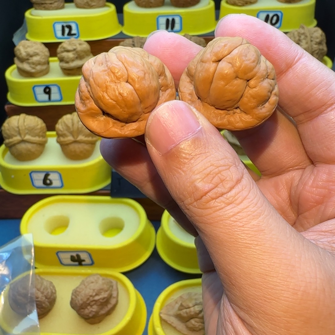 ****人桃核把件金刚鹦蟾