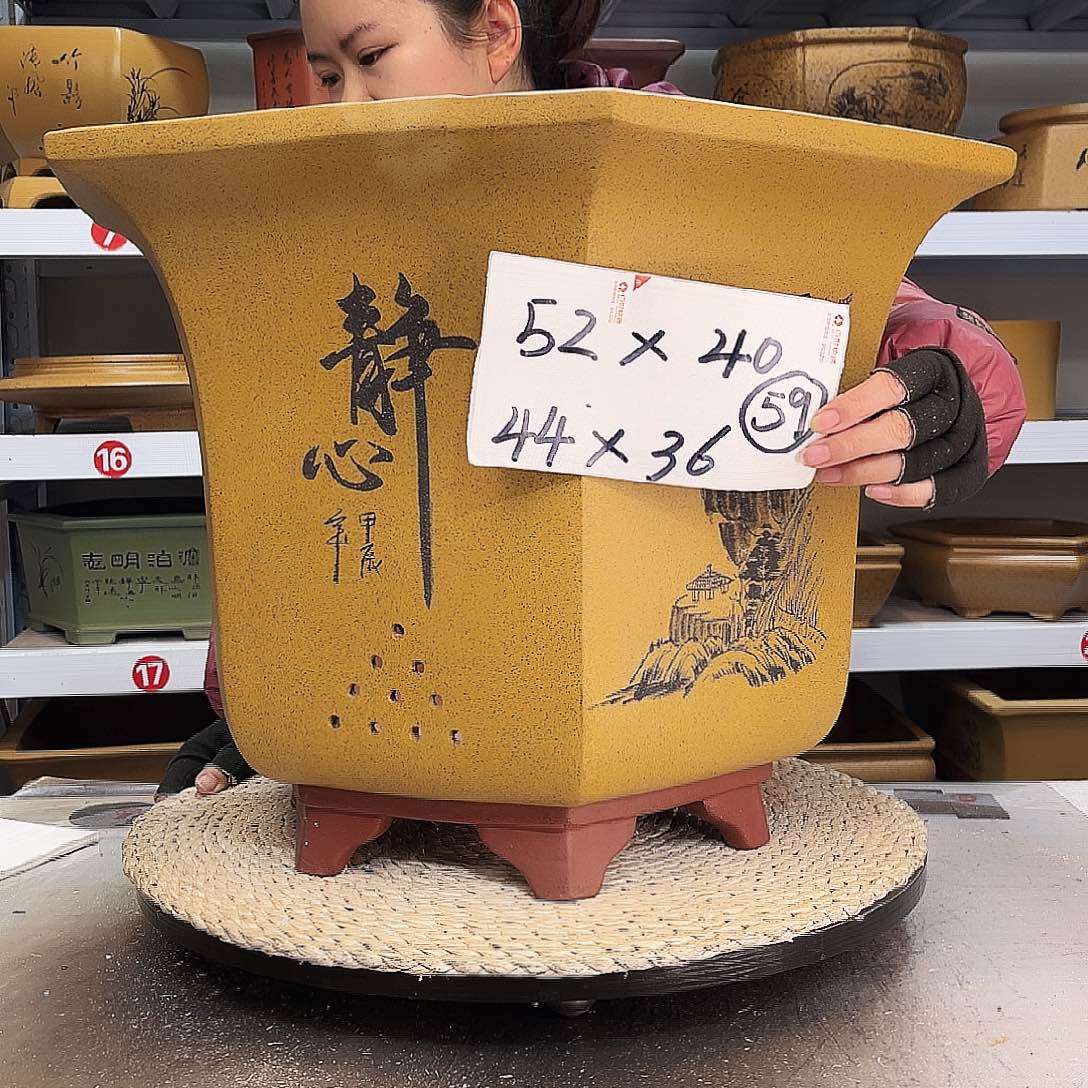 紫砂花盆紫砂花盆