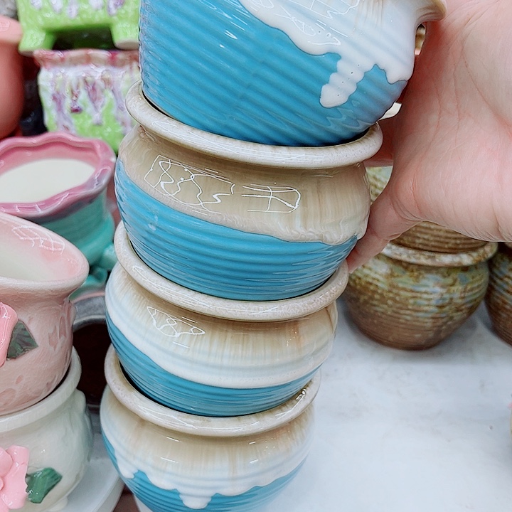 多肉植物陶瓷花盆