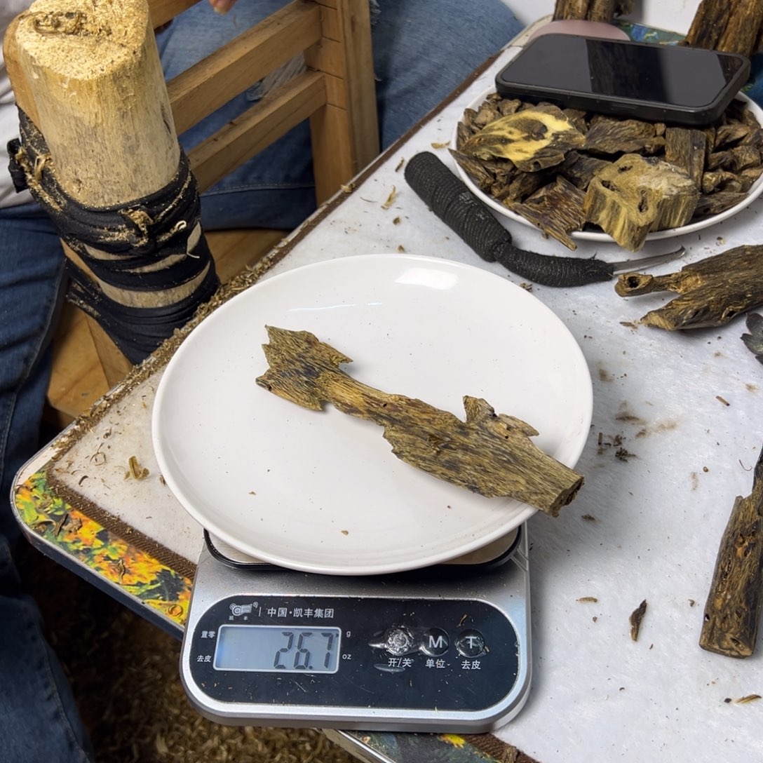线香奇楠虫漏香26克