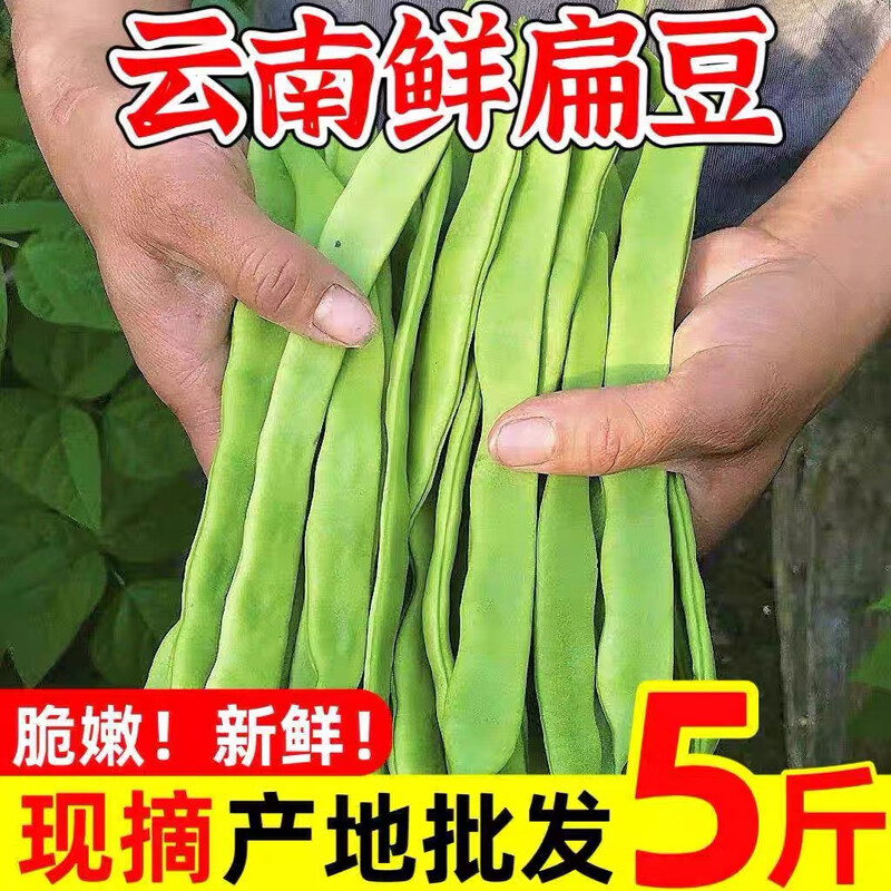 云南现摘扁豆刀豆新鲜农家自种长豆角四季豆时令蔬菜