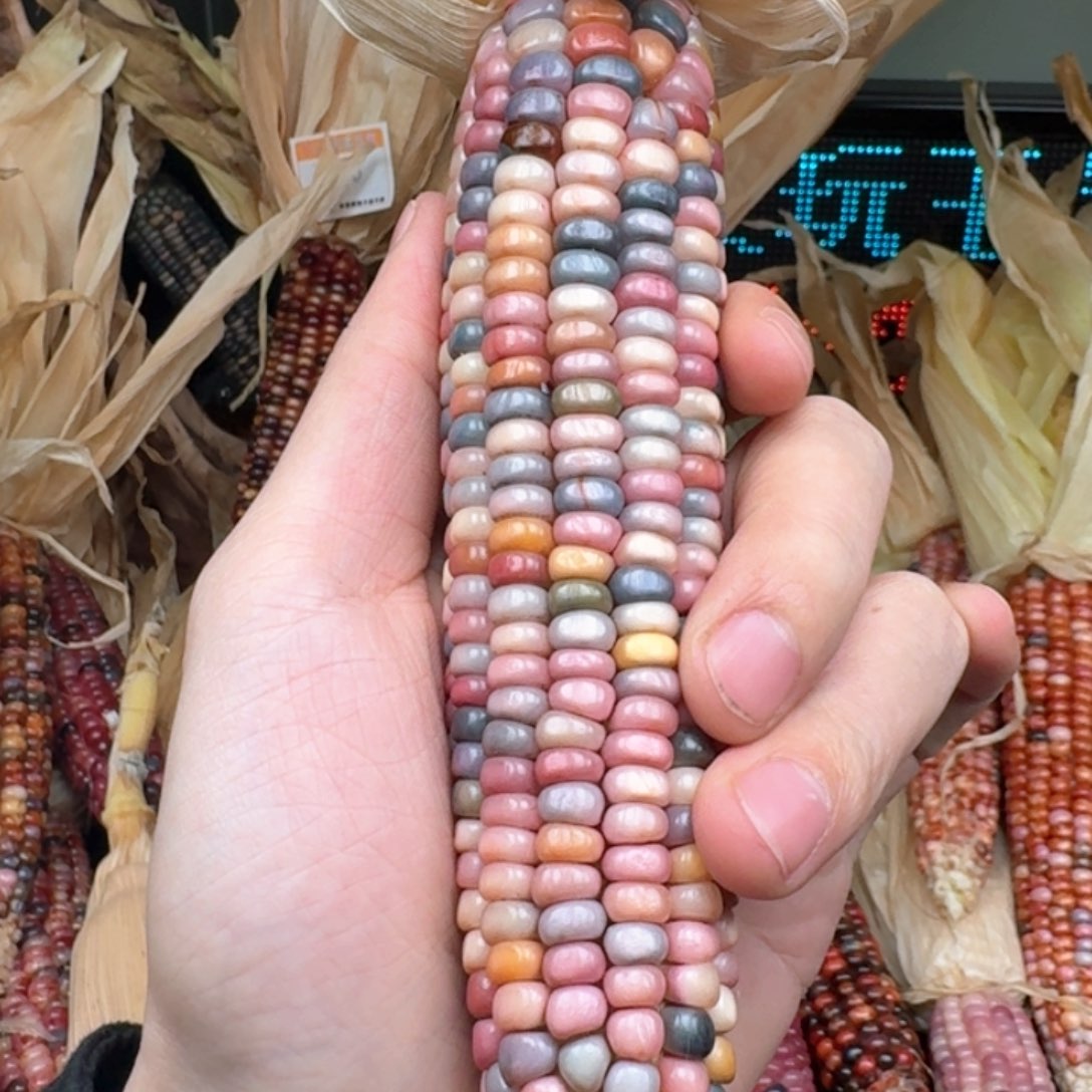 柏香籽/百香籽吊坠陆*