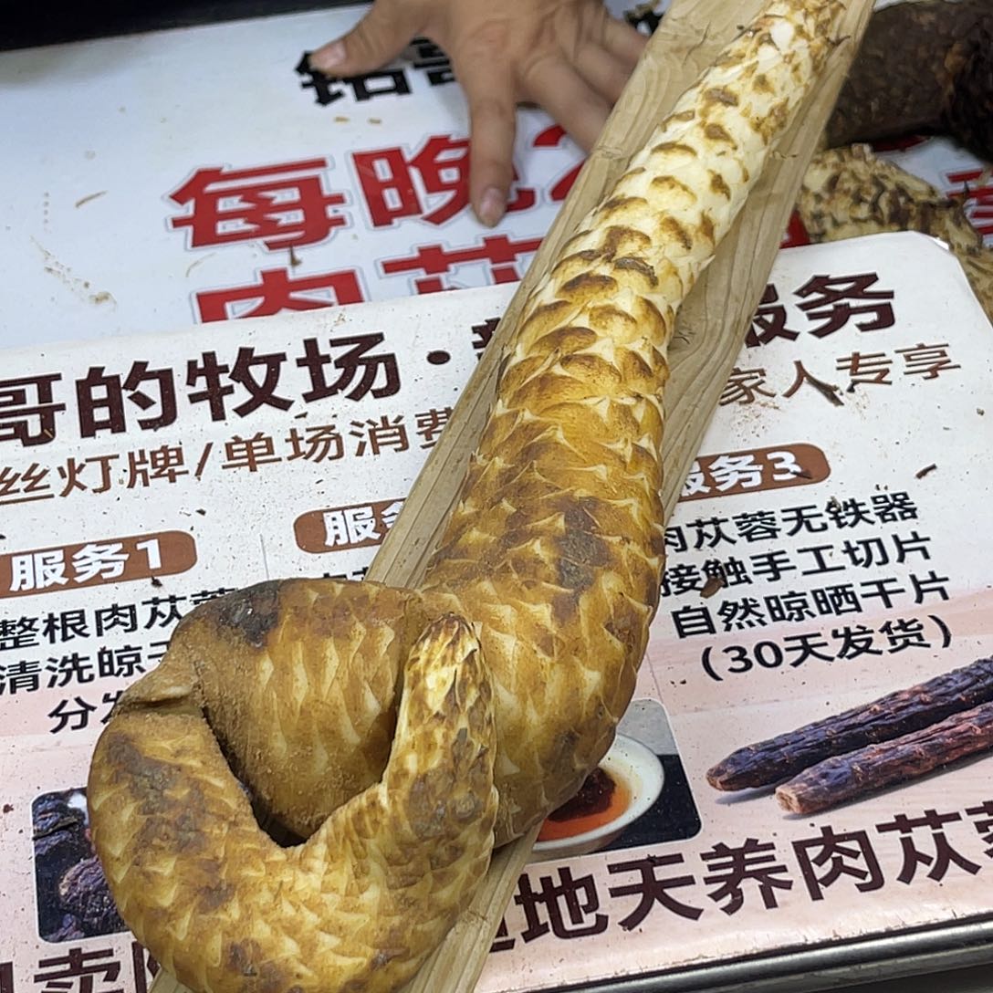 中国大陆500克37厘米