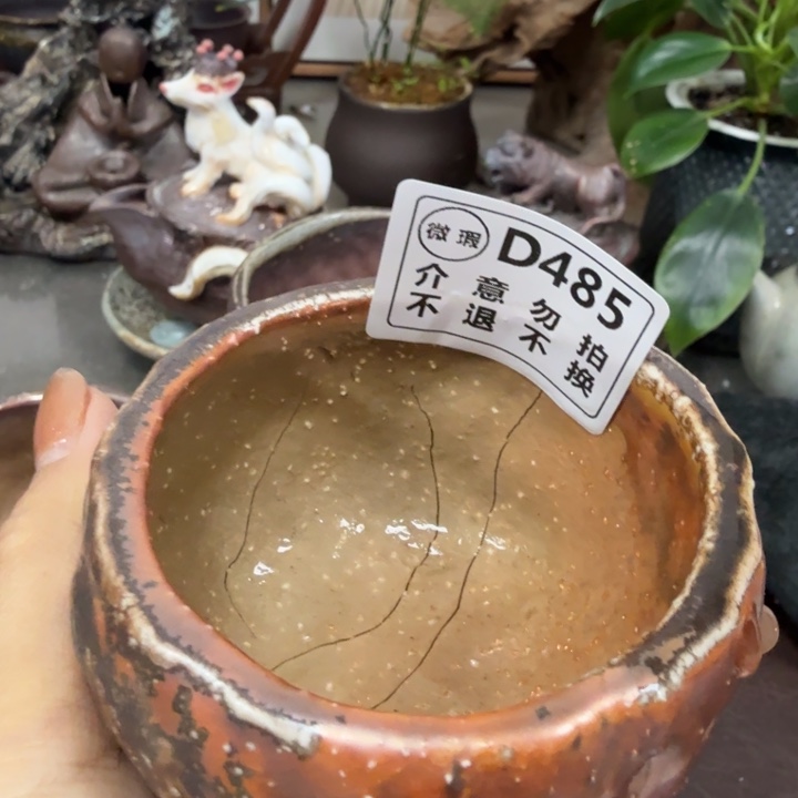 陶盘柴烧新品福利多多