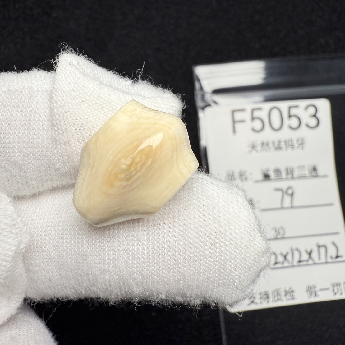 F5053猛犸象牙鲨鱼背一体三通冰料果冻料12*12*17.2mm