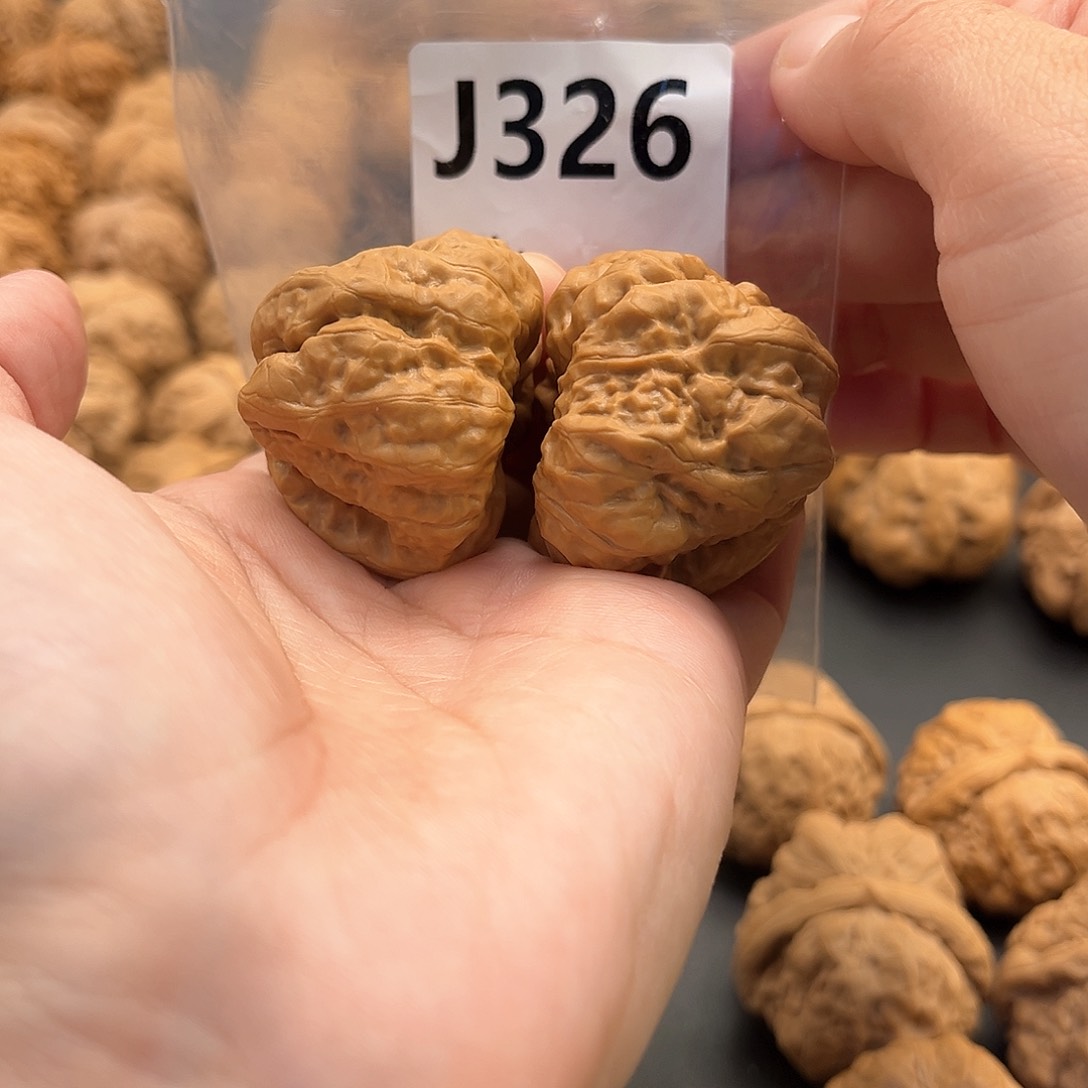 桃核把件蛙蛙福利39