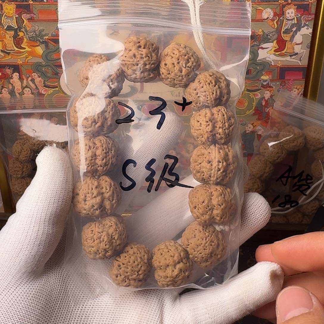 金刚菩提手串毕业货  爆肉 梁产区 蜂王