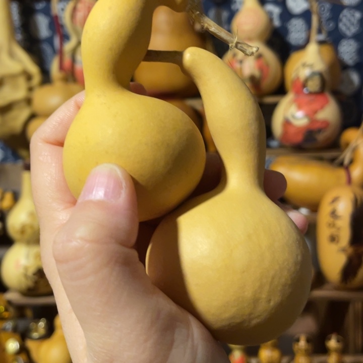 特价福利不退不换