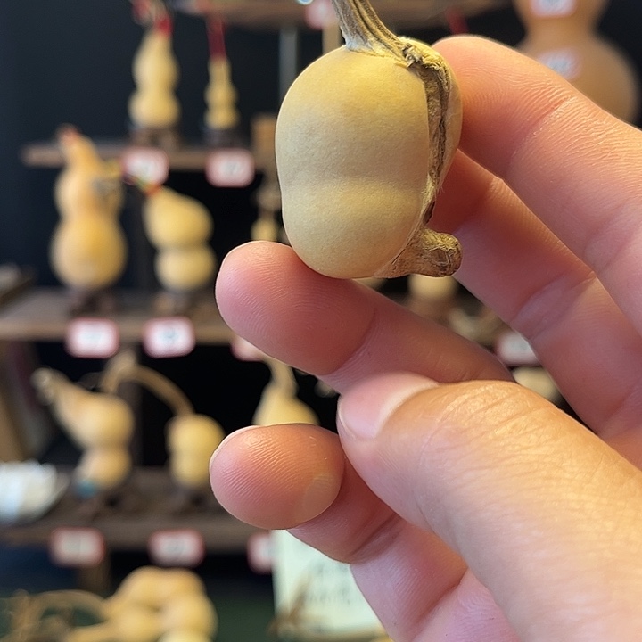 ?*图开开开开开开开开开开开