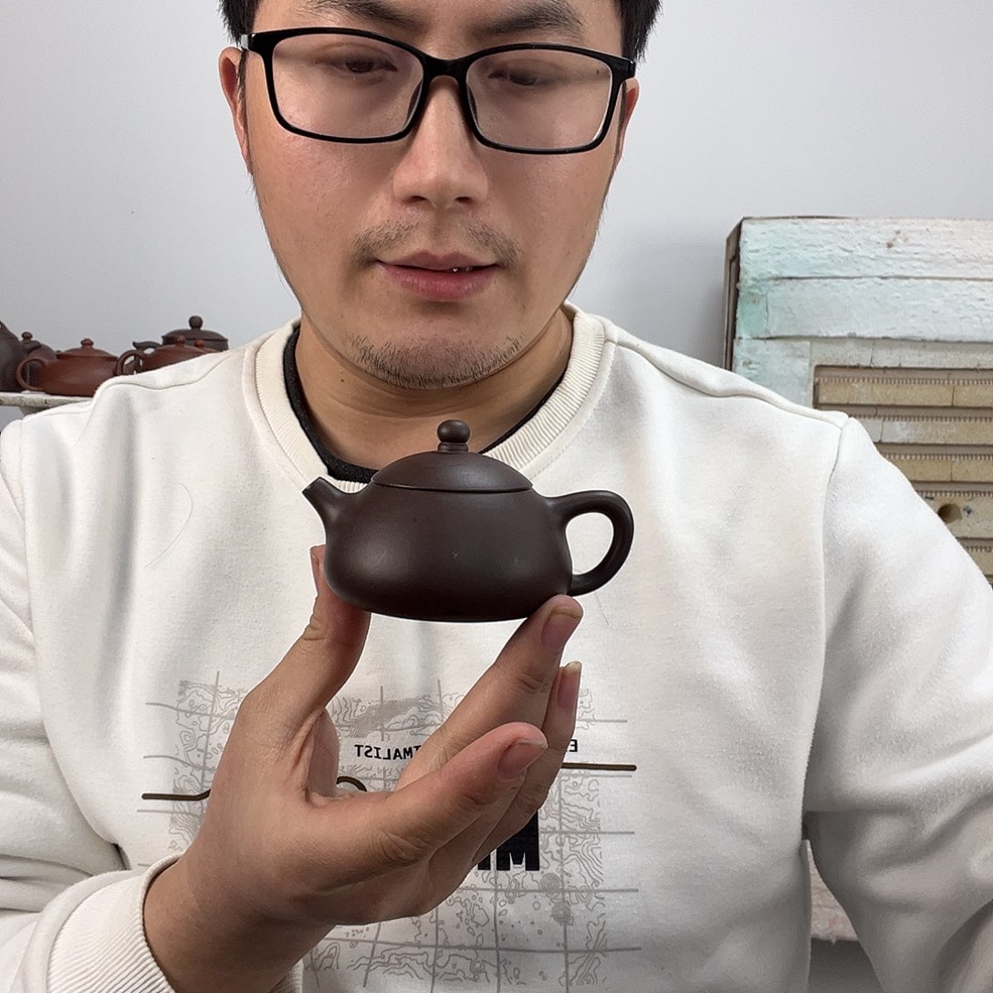 紫砂茶壶紫泥纳瓢