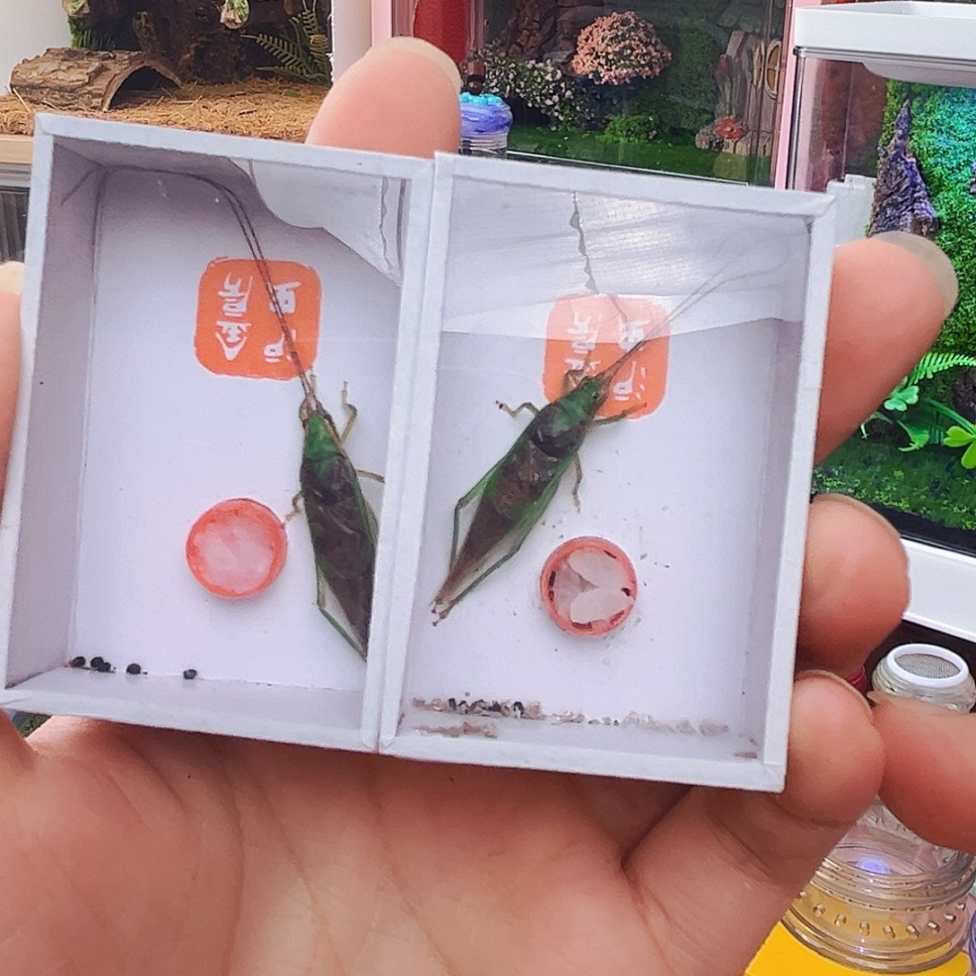 拍拍拍拍拍拍拍拍拍