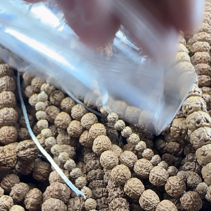 金刚菩提吊坠霸王花19m散子