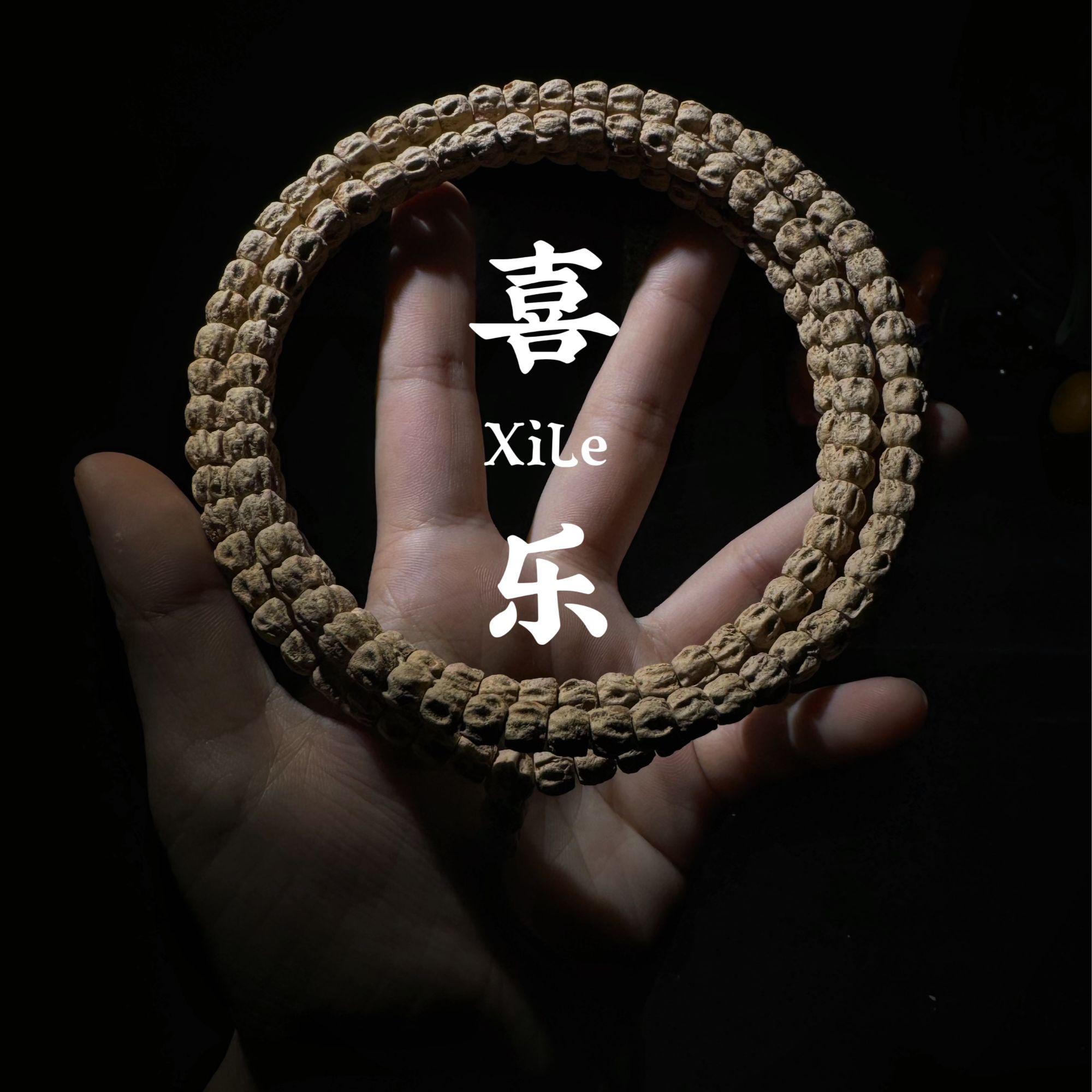 【喜乐文玩】Xl47大尺寸单坑麻皮龙脊百香籽手串 热振百香籽108长串