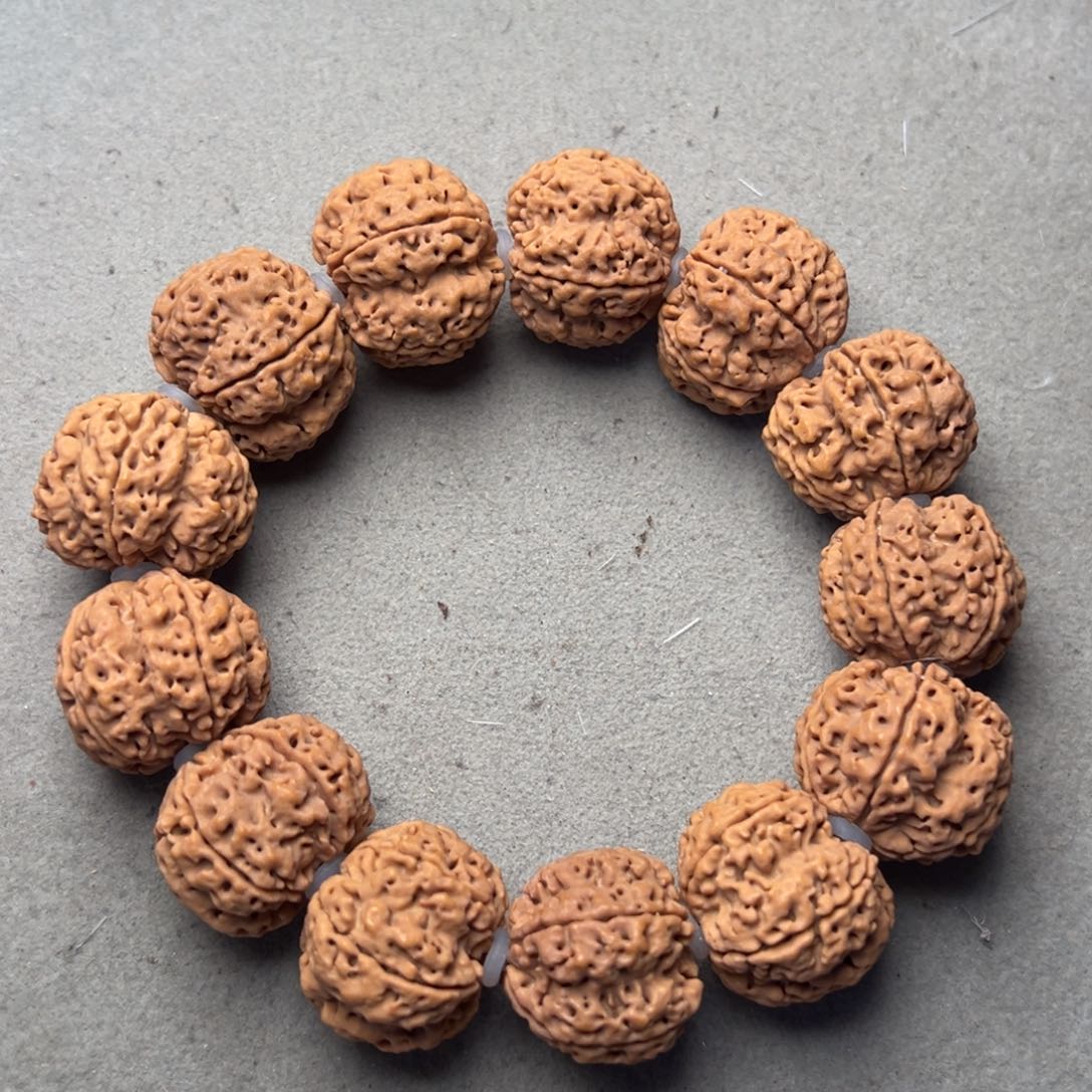 菩提1号金刚菩提梅花双龙24