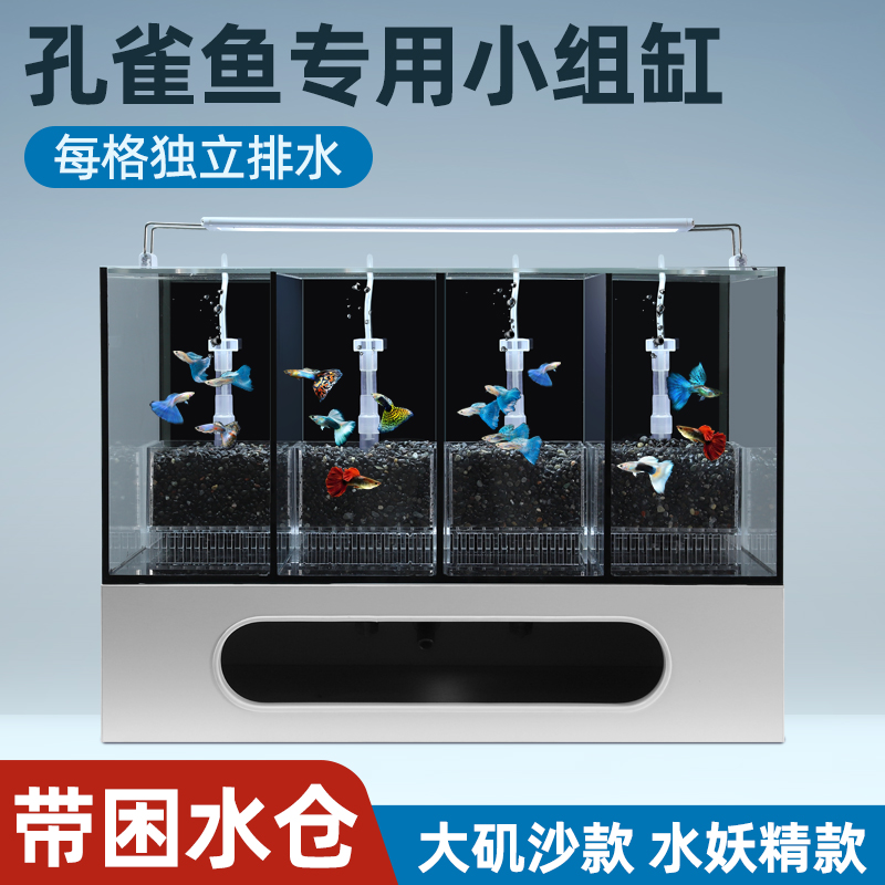 工厂大促】孔雀鱼组缸孔雀鱼专用大矶沙版水妖精系统网红款斗鱼缸