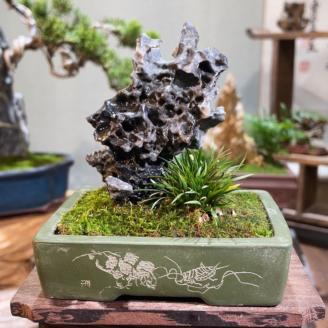 又***了完全开放000000000