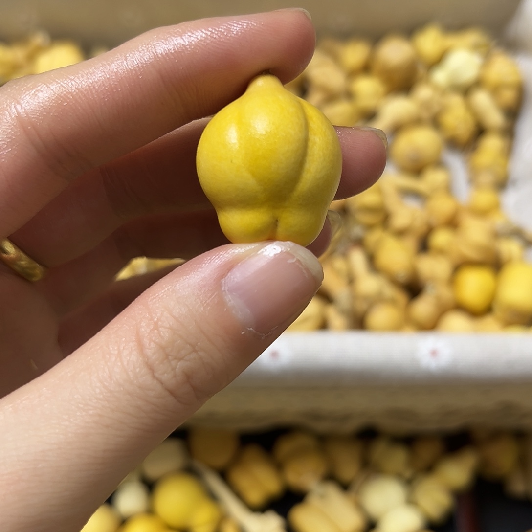 小***儿葫芦葫芦葫芦葫芦葫芦