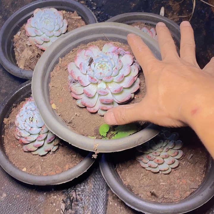 好了就给您说下好嘛