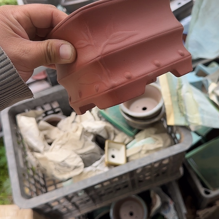 我想说我们不在一块