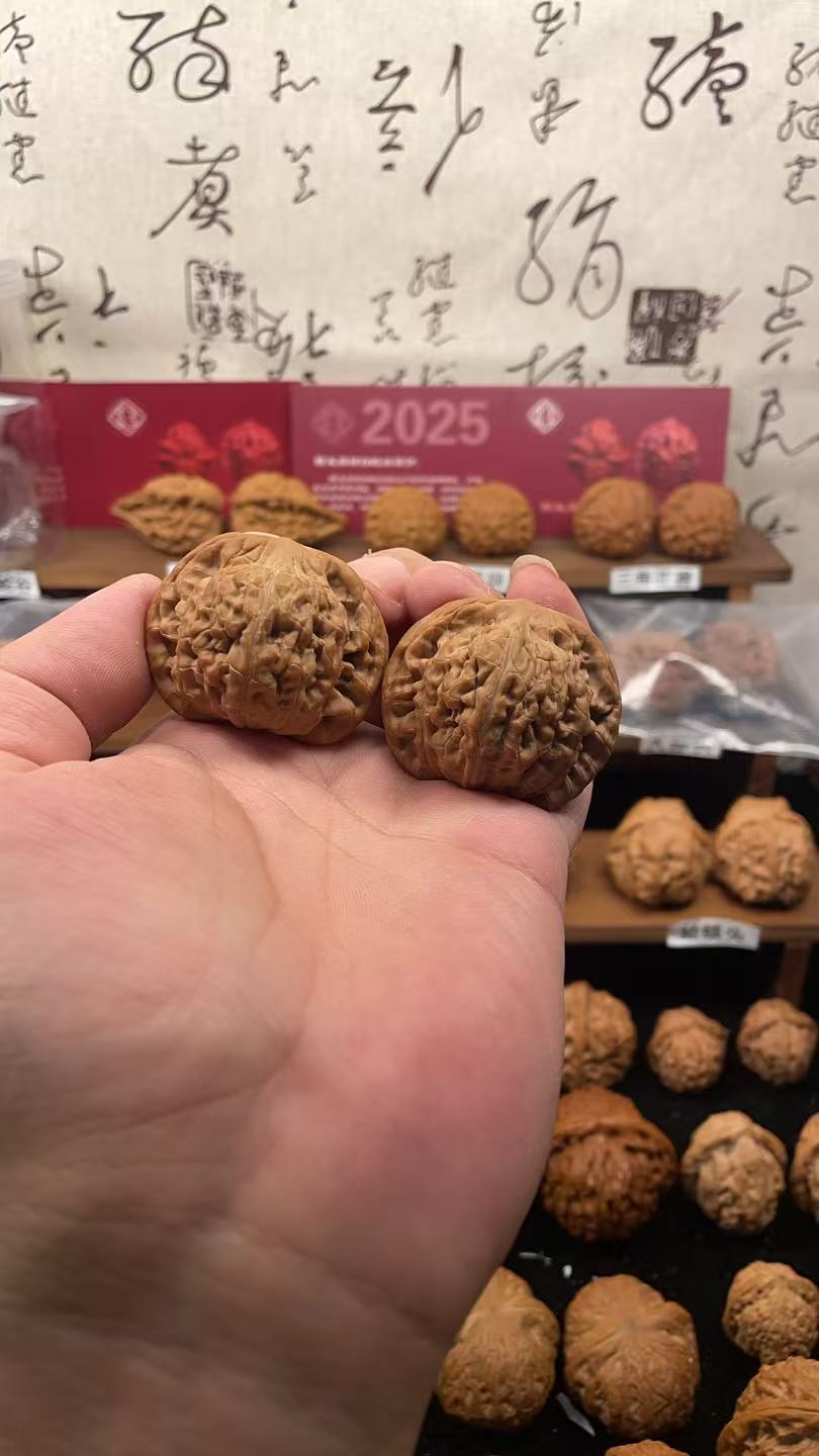 42尺全品无修舞狮子24年树王