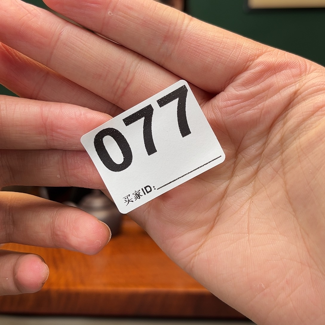 茶杯紫砂大雪紫砂送两把壶