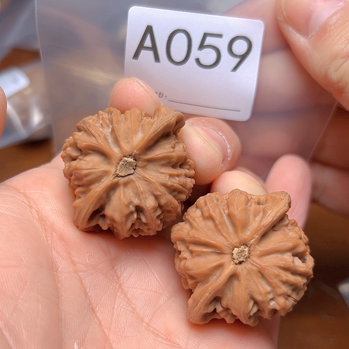 文玩核桃把件王*仙39宫灯