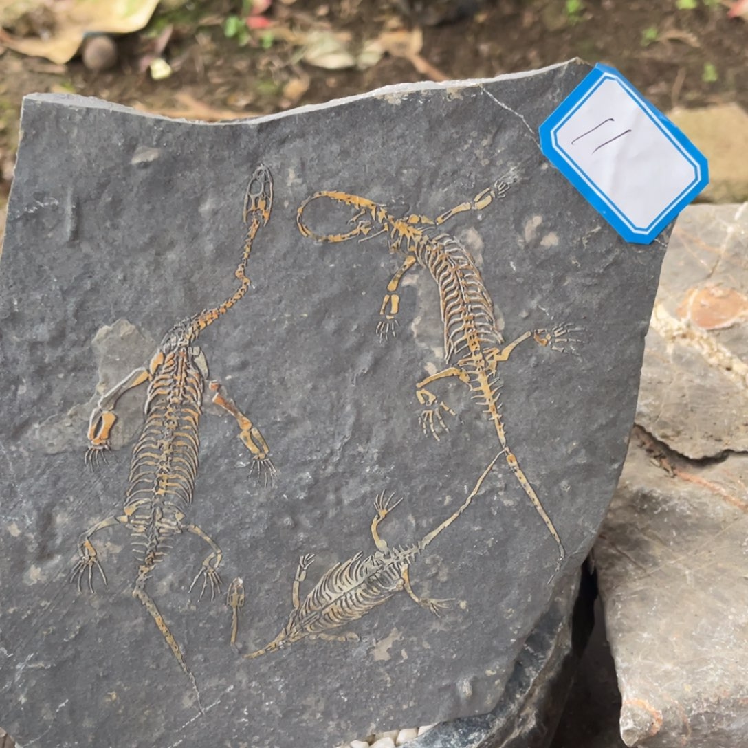 石材111111111111111111111