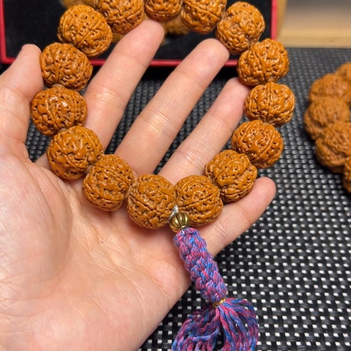 手串金刚菩提19六瓣