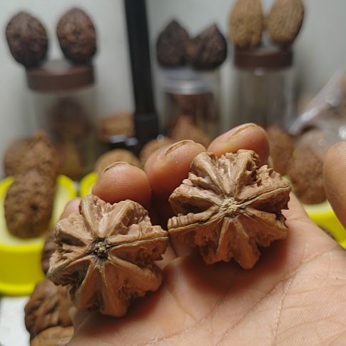 文玩核桃把件东北野生大楸子八棱