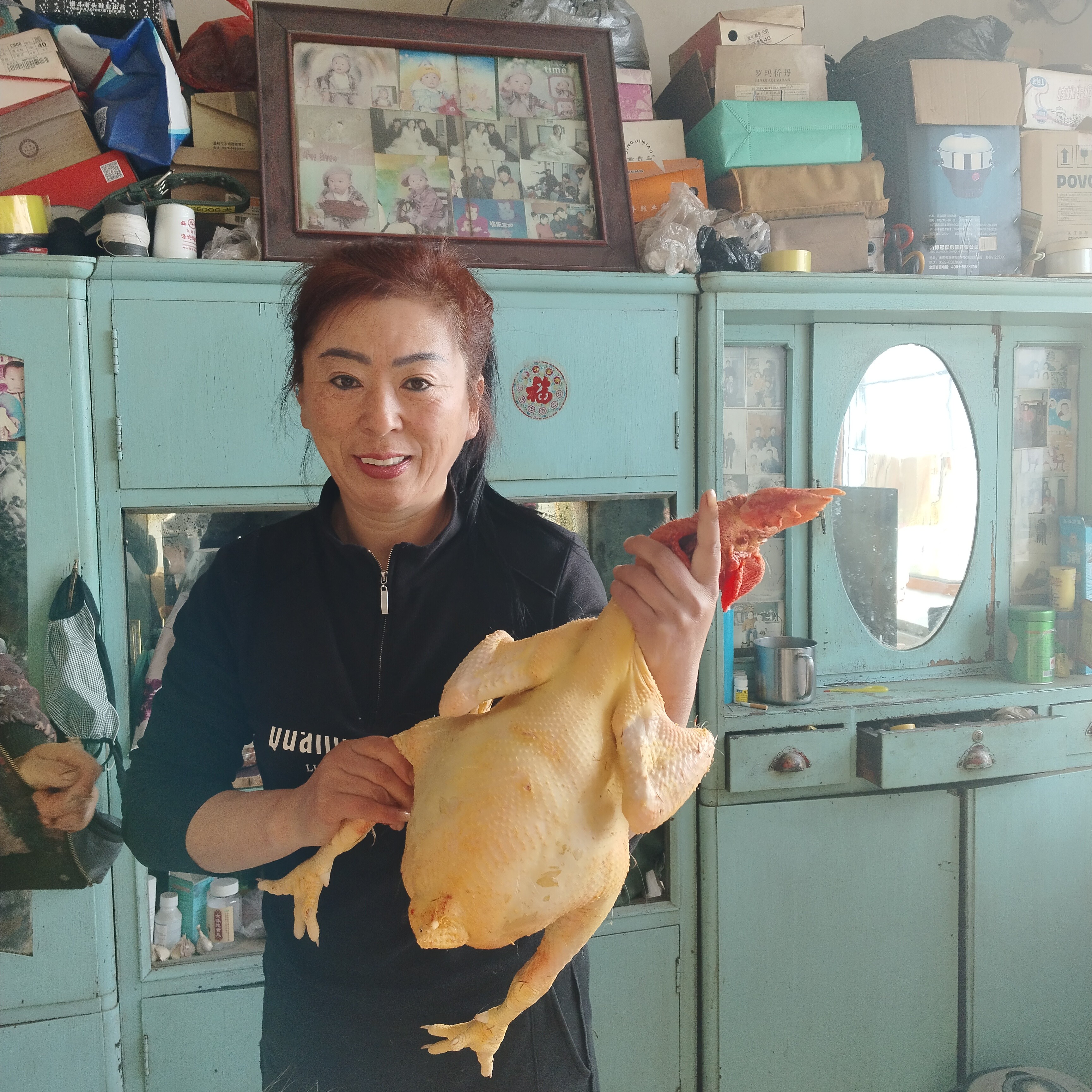 东北散养溜达鸡纯粮食(生鲜食品不支持退款 退货 拒签)