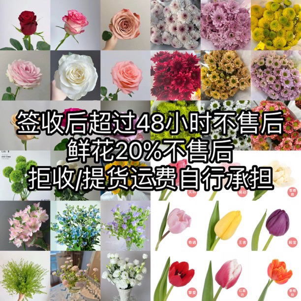 鲜花~（签收后超24小时不售后）