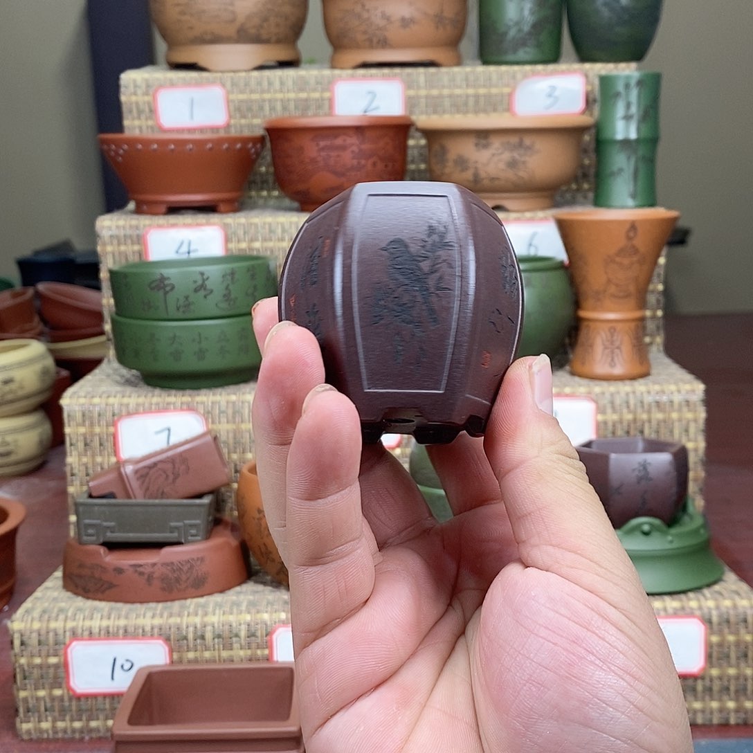 紫砂花盆我在等一