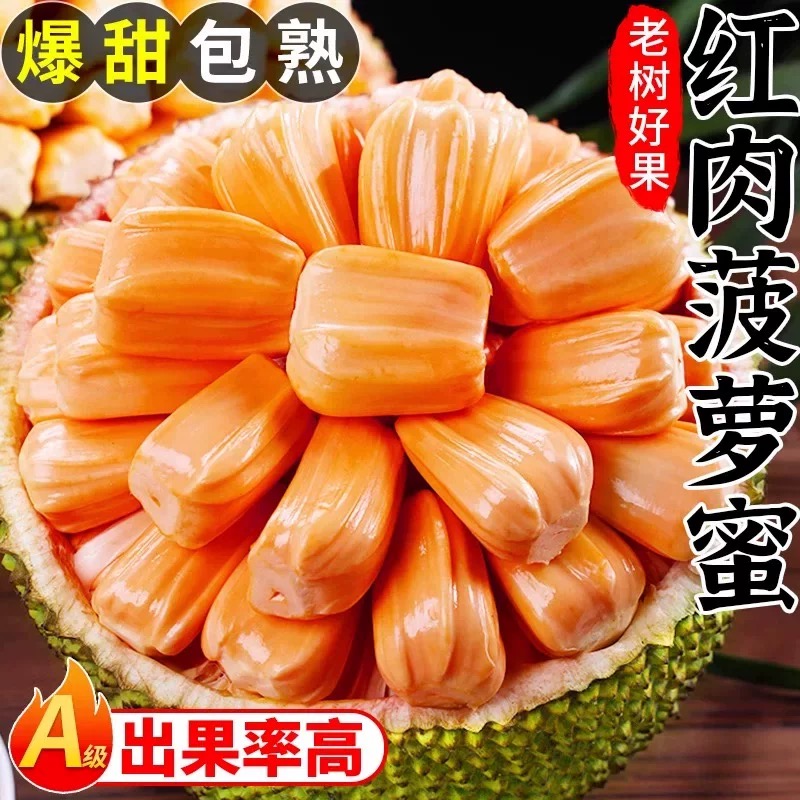 【TN福利】印尼品种新鲜大果菠萝蜜1kg【次日达】进口干苞脆甜顺丰包邮29TN红肉菠萝蜜越南社会主义共和国
