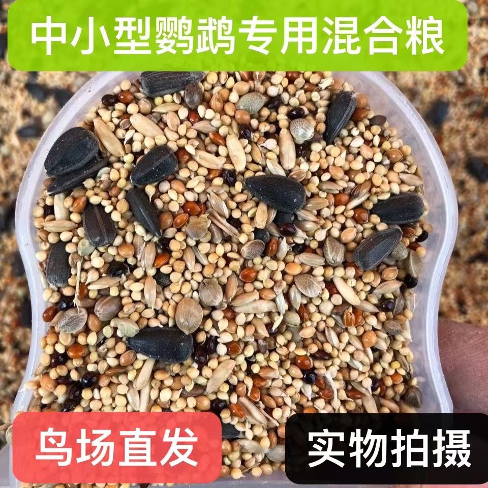 牡丹鹦鹉鹦鹉种子粮混合粮