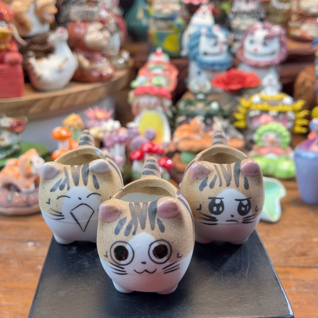 小镇青花每日有产品