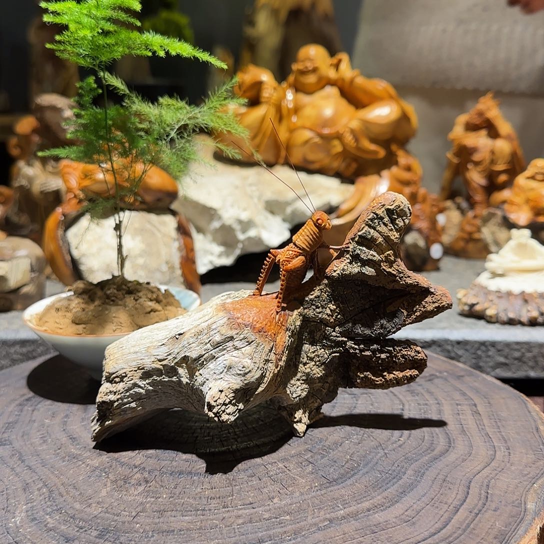 柏木（崖柏）太行集团公司