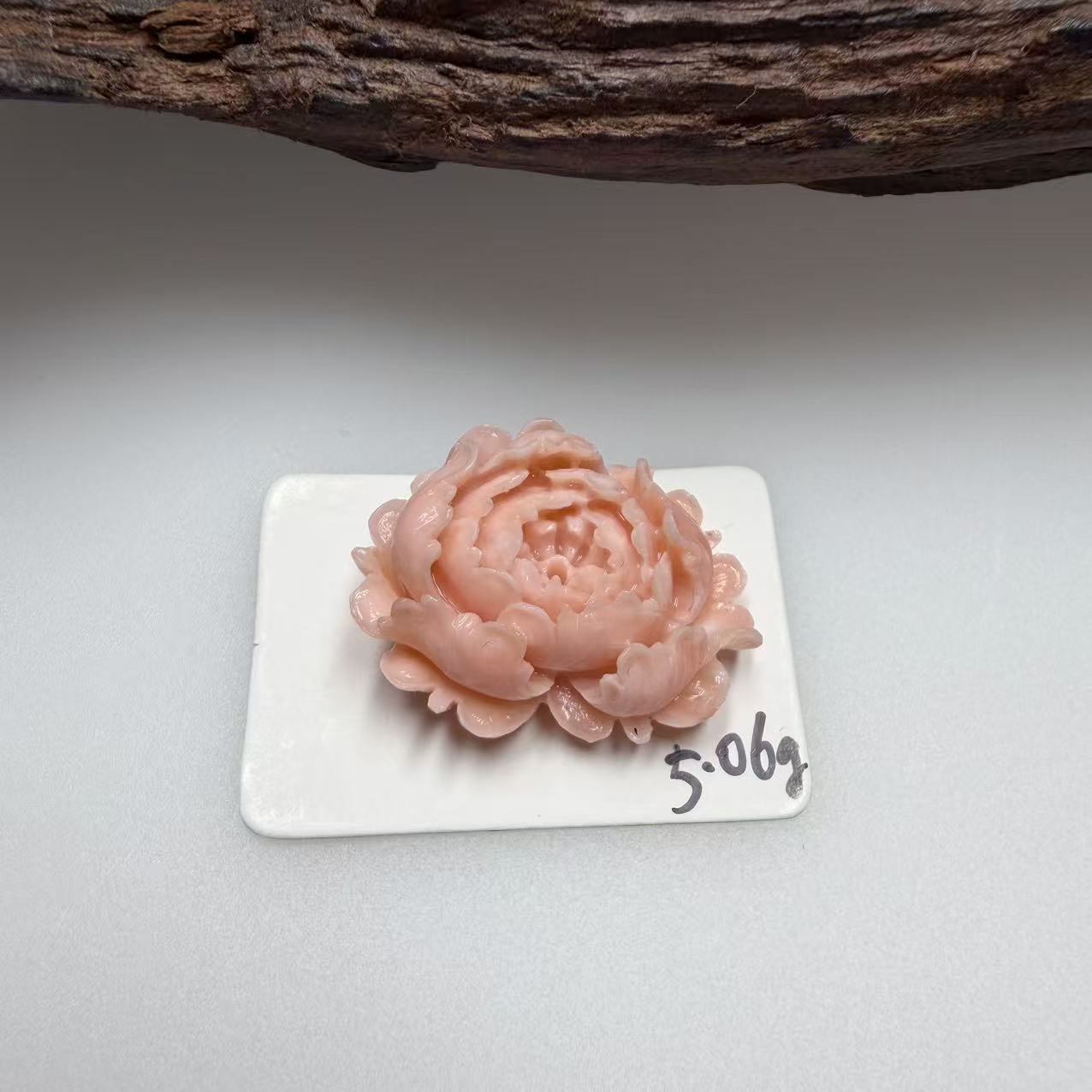 天然momo红珊瑚 牡丹/-16057