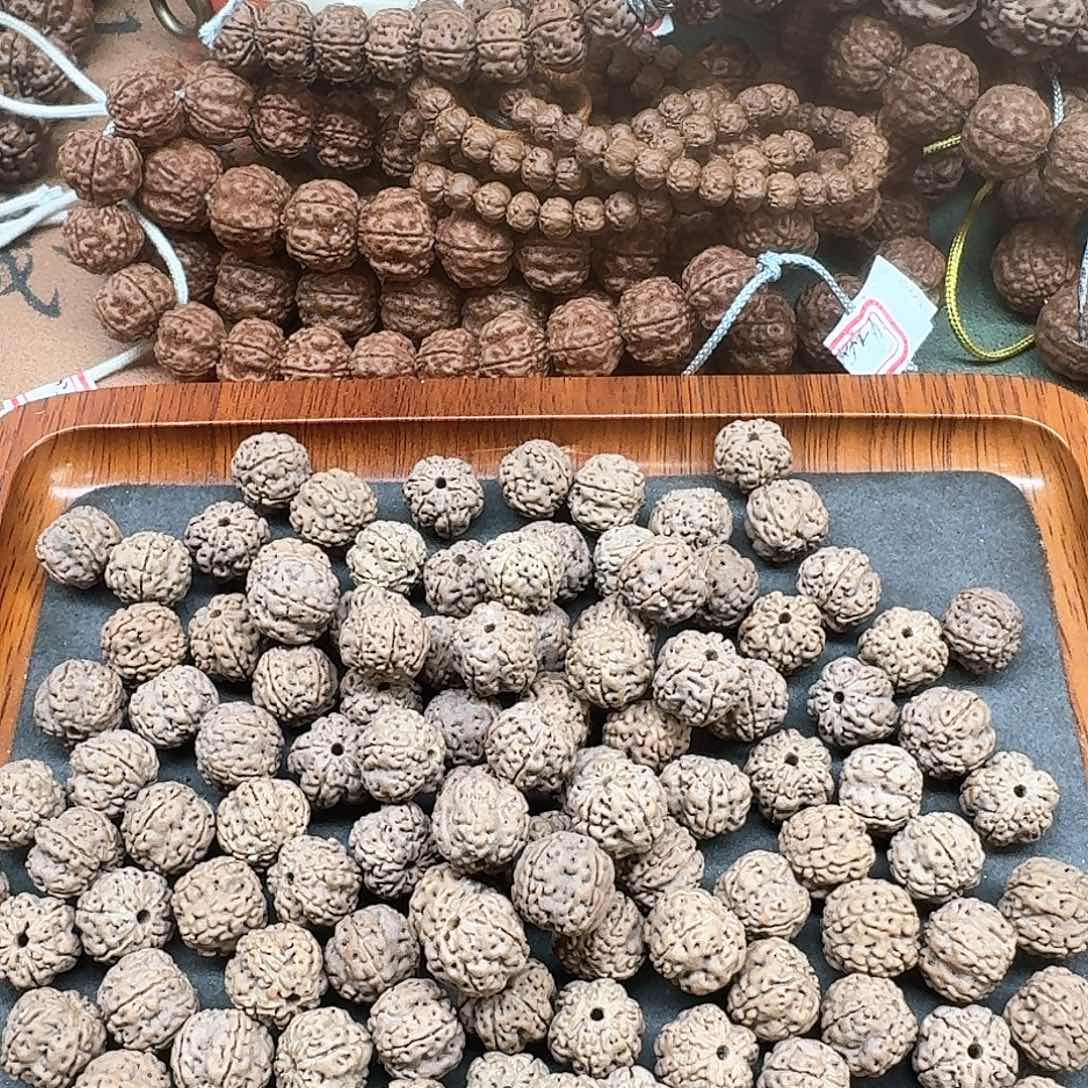 金刚菩提手串花王散籽125颗