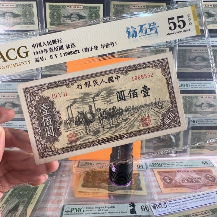 地***叔塑料健健康康健健康康健健康康健健康康了