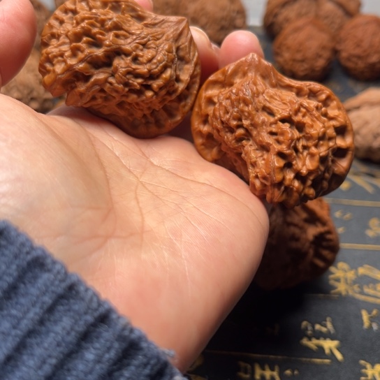 官帽异性有黄有修已经打底