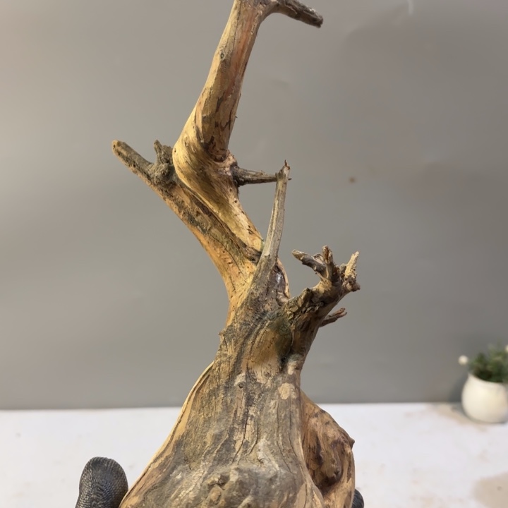 ****生崖柏高油雕刻坨坨