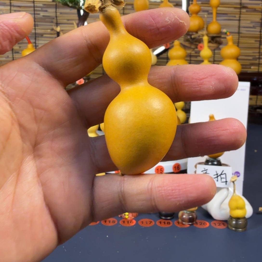 绿皮蚂蚁~有意思的一把葫芦高度7