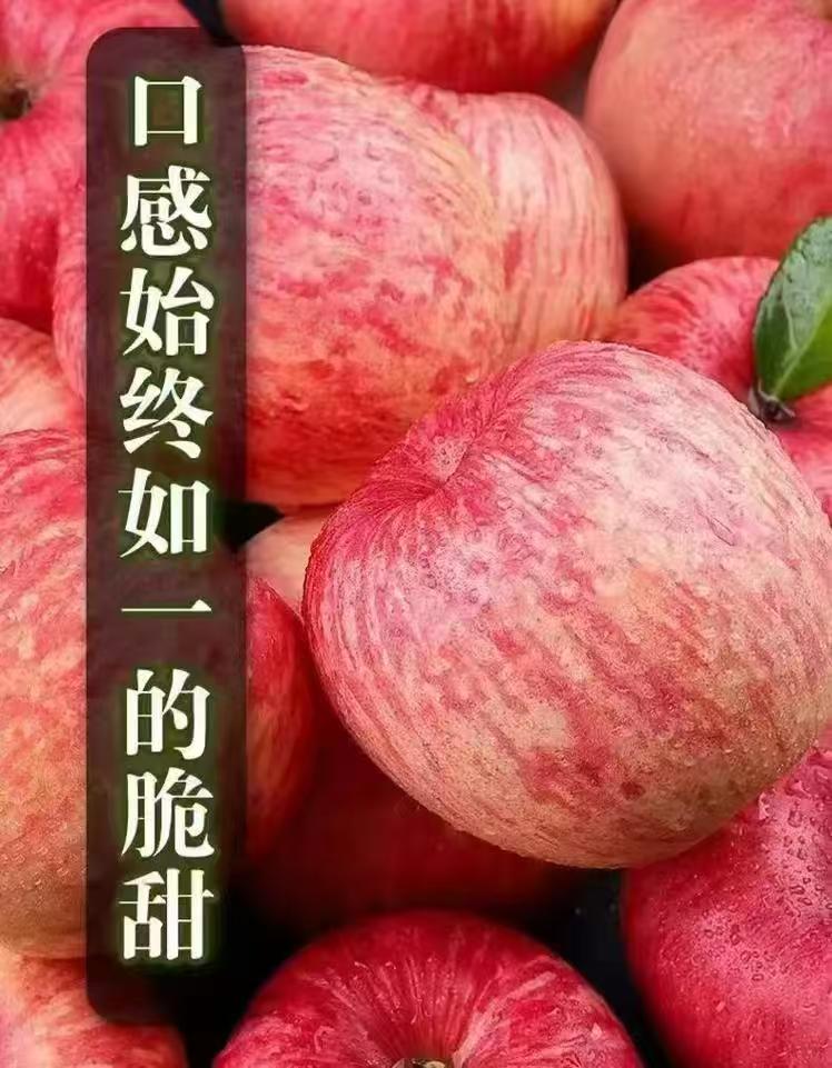 重庆市高山爱情派出所脆苹果正宗
