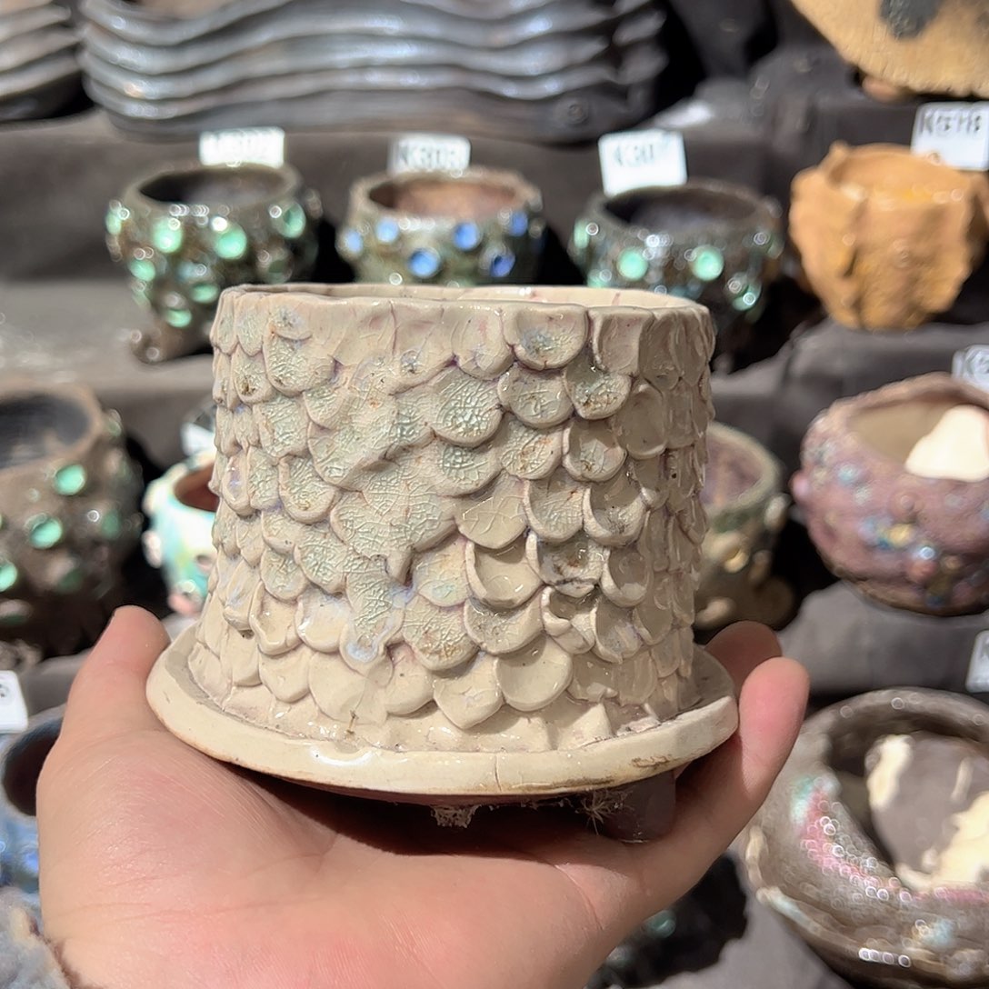 王炸福利 微瑕不售后