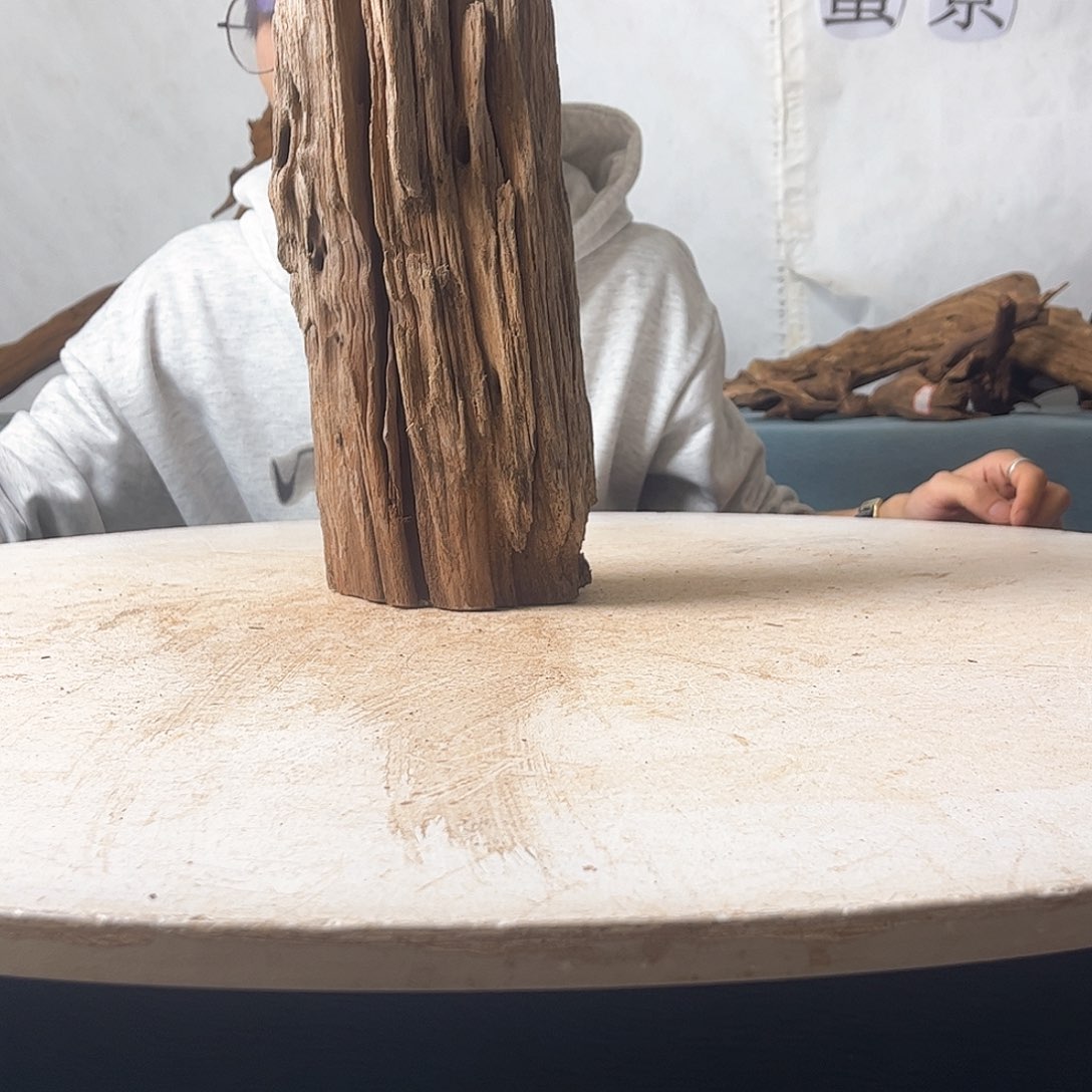 沉木造景寄居蟹景