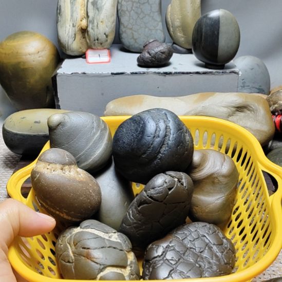 陶瓷大湾石大化石