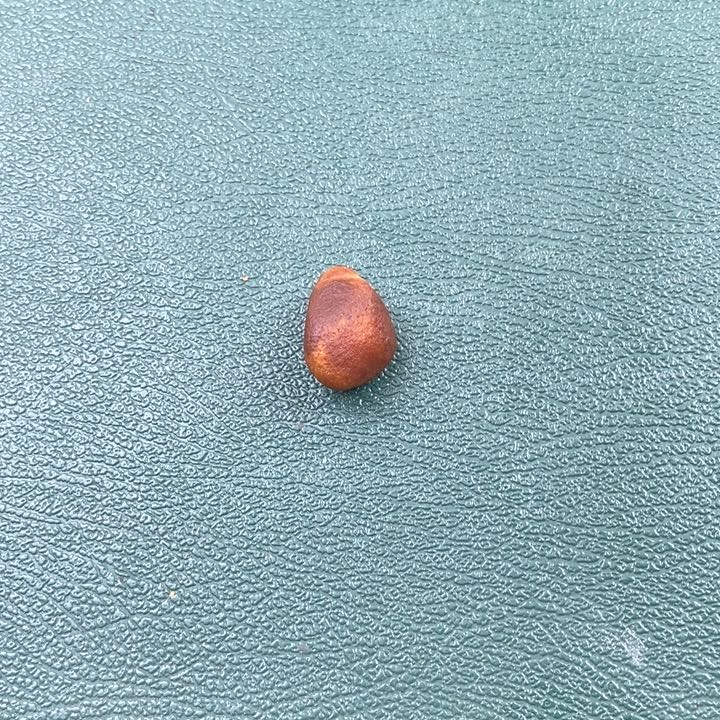 琥珀裸石未镶嵌蜜蜡裸石