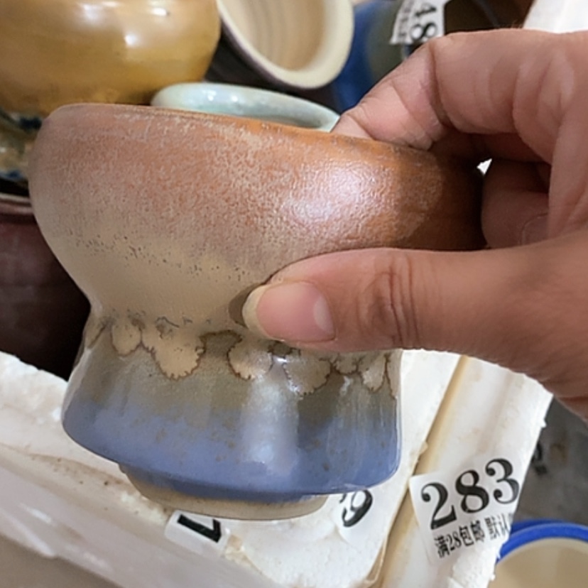 【闪购商品】红陶口10.5