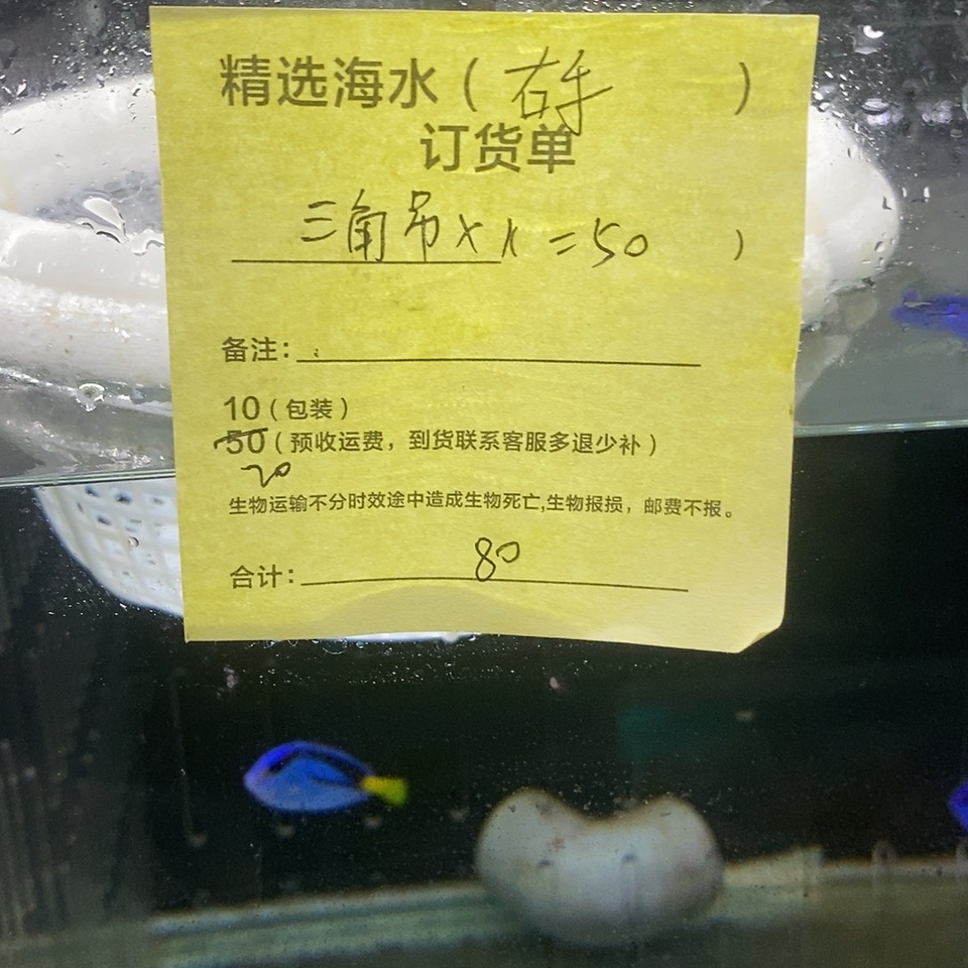 海水鱼三角吊特价款